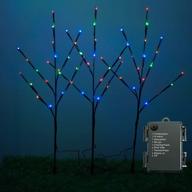 🌿 rayslife 3 pack led lighted twig branches with timer and 8 modes, battery operated 30 inch 60 led decorative artificial willow branch lights for home living room floor vase, multi-color логотип