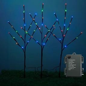 img 4 attached to 🌿 Rayslife 3 Pack LED Lighted Twig Branches with Timer and 8 Modes, Battery Operated 30 Inch 60 LED Decorative Artificial Willow Branch Lights for Home Living Room Floor Vase, Multi-Color