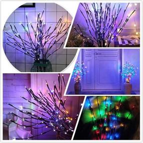 img 3 attached to 🌿 Rayslife 3 Pack LED Lighted Twig Branches with Timer and 8 Modes, Battery Operated 30 Inch 60 LED Decorative Artificial Willow Branch Lights for Home Living Room Floor Vase, Multi-Color