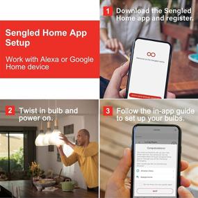 img 1 attached to 🔌 Sengled Candelabra Filament Bulb Compatible with Alexa and Google