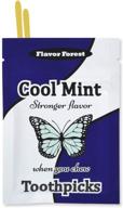 🦷 100ct flat shape mint flavored toothpicks for enhanced oral hygiene logo