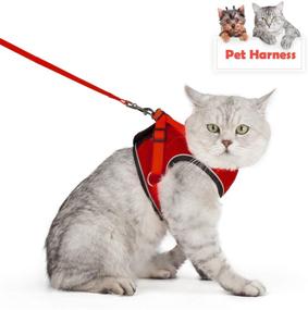 img 4 attached to 🐱 SENYE PET Cat Harness: Escape Proof Small Cat and Dog Soft Mesh Vest Harness with Leash Clip & Reflective Strap - Comfort Fit for Kitten Puppy