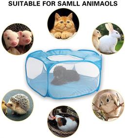 img 2 attached to Exercise Portable Transparent Breathable Hamsters