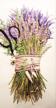 mary lake thompson lavender bouquet logo