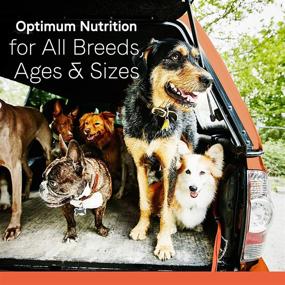 img 1 attached to 🐾 Premium Wet Dog Food for All Breeds and Sizes - Canidae All Life Stages: Optimal Protein with Wholesome Grains