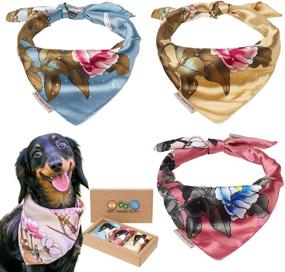 img 4 attached to Elevate Your Dog's Style with Eat Paws Play Designer 3 Piece Boy & 🐾 Girl Boxed Sets: Washable, Adjustable, and Perfect for Small, Medium, or Large Dogs & Puppies