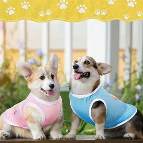 img 2 attached to 🐶 Summer Dog Shirt: Casual, Cool and Colorful Doggie Clothes for Spring-Summer Season in 5 Sizes and Cartoon Animal Prints