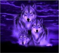 🎨 hrank 5d diy diamond painting kit: full drill rhinestone home décor craft – wolves, 35x45cm/14x18inch logo