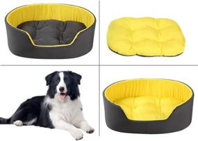 img 4 attached to 🐾 Innovative QMSKI Washable Dog Bed Cat Bed for Crate: Cozy Comfort for your Beloved Pets with Anxiety Relief - Durable, Stylish Furniture for Medium Small Puppy Dogs Cats!