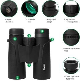 img 1 attached to Cayzor 12x42 Binoculars: Compact HD Bird Watching & Stargazing Lens