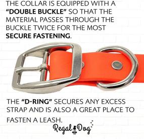 img 1 attached to 🐶 Water-Resistant Dog Collar with Durable Center Ring - Premium Vinyl-Coated Webbing for a Perfect Fit, Enhanced Waterproofing, and Double Buckle Design