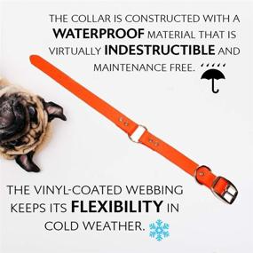 img 2 attached to 🐶 Water-Resistant Dog Collar with Durable Center Ring - Premium Vinyl-Coated Webbing for a Perfect Fit, Enhanced Waterproofing, and Double Buckle Design