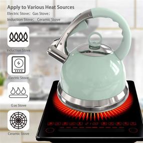 img 2 attached to 🍵 Stovetop Stainless Steel Tea Kettle 2.6L with Loud Whistle, Anti-Rust and Anti-heat Handle - Grey/Green