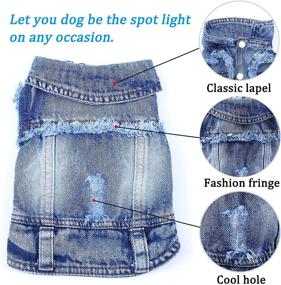 img 2 attached to Blue Denim Lapel Vest Coat T-Shirt Costume Cute Girl Boy Dog Puppy Clothes - Brocarp Dog Jean Jacket: Comfortable, Cool Apparel for Small Medium Dogs and Cats, Machine Washable Dog Outfits