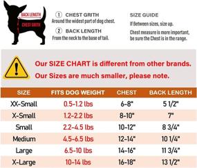 img 2 attached to Top-Quality LOPHIPETS Dog Cotton Hoodies: Cozy Sweatshirts for Small Dogs & Chihuahuas