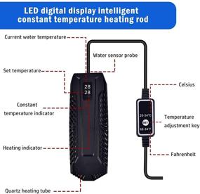 img 3 attached to 🐠 Ensunpals Submersible Aquarium Heater: Efficient Heating & Built-in Thermometer for Marine and Fresh Water Fish Tanks