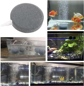 img 2 attached to DasMarine Stones Aquarium Hydroponics Airstones