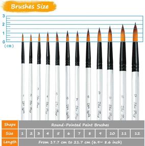 img 1 attached to 🖌️ Превосходный набор акриловых кистей Round-Pointed 12 штук: идеально для художников, ремесел, холста и многого другого!