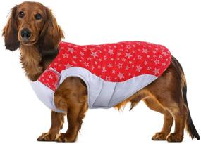 img 4 attached to Kuoser Reflective Adjustable Apparel Dachshund