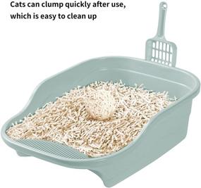 img 1 attached to 🐈✨ Pure & Natural Nourse CHOWSING Tofu Cat Litter: Dust-Free, Odor-Absorbent, Flushable - 6LB Pack