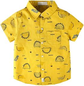 img 3 attached to 👕 Stylish Summer Outfits for Boys: Little Gentleman's Clothing Collection