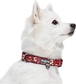 img 2 attached to 🐾 Blueberry Pet's Stylish Collection: Soft & Comfy Flower Print Neoprene Padded Dog Collars - 10+ Unique Patterns