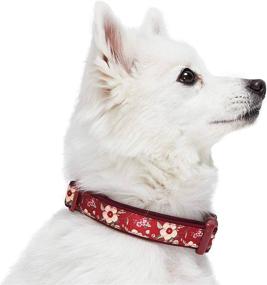 img 3 attached to 🐾 Blueberry Pet's Stylish Collection: Soft & Comfy Flower Print Neoprene Padded Dog Collars - 10+ Unique Patterns