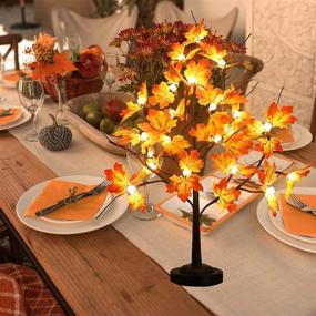 img 3 attached to 🍁 Enhance Your Autumn Décor with the Jun Xiang 24 Led Maple Lamp: 20 Inches Lighted Fall Tree with Timer and 8 Lighting Modes (Warm White)