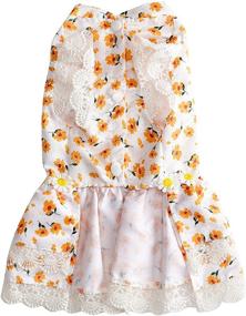 img 2 attached to 🌻 Hollypet Pet Clothes: Stylish Sunflower Dog and Cat Dress for Birthday Parties and Special Occasions