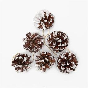 img 4 attached to 🌲 Pack of 30 Natural Mini Christmas Pine Cones 1.6" to 2.4" with Strings - Frosted Pinecones, Snow Tipped Pine Cones Ornaments for Xmas, Fall, Thanksgiving, Christmas Party Decorations - Ideal for DIY Crafts