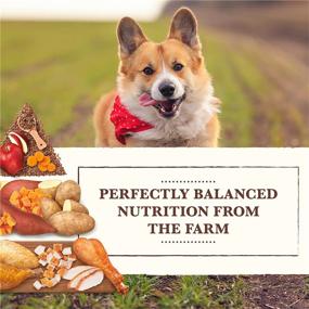 img 2 attached to 🐶 Small Breed Dry Dog Food by Whole Earth Farms