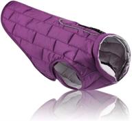 water-resistant reversible dog jacket with reflective trim by rc gearpro - keep your pet warm in cold weather логотип