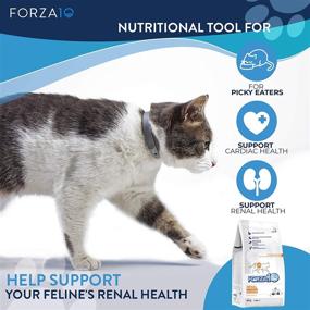 img 1 attached to 🐾 Forza10 Active Kidney Renal Diet Dry Cat Food: Heart and Kidney Support for Adult Cats, Wild Caught Anchovy Flavor