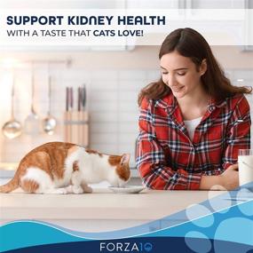 img 3 attached to 🐾 Forza10 Active Kidney Renal Diet Dry Cat Food: Heart and Kidney Support for Adult Cats, Wild Caught Anchovy Flavor
