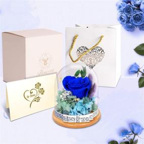 img 3 attached to 🌹 Eternal Blue Real Rose Gift for Women - KING DOO Preserved Rose. Perfect for Mom, Grandma, Wife. Ideal for Thanksgiving & Christmas
