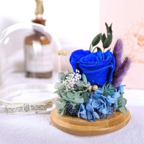 img 2 attached to 🌹 Eternal Blue Real Rose Gift for Women - KING DOO Preserved Rose. Perfect for Mom, Grandma, Wife. Ideal for Thanksgiving & Christmas