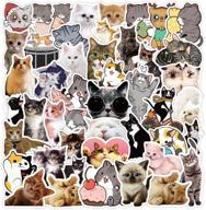 set of 50 cute cat vinyl stickers | waterproof decals for water bottles, laptop, bike, refrigerator, luggage, phone, skateboard, and more logo