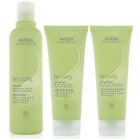 img 4 attached to Aveda Be Curly Conditioner Enhancer