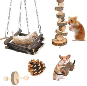 img 1 attached to 🐹 BUYGOO 12 Pack Hamster Chew Toys: Natural Wooden Pine for Guinea Pigs, Rats, Chinchillas - Swing, Seesaw, Arches - Teeth Care Molar Toy for Bunny Rabbits, Gerbils