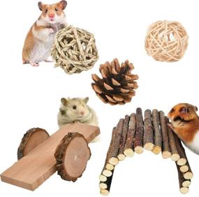 img 2 attached to 🐹 BUYGOO 12 Pack Hamster Chew Toys: Natural Wooden Pine for Guinea Pigs, Rats, Chinchillas - Swing, Seesaw, Arches - Teeth Care Molar Toy for Bunny Rabbits, Gerbils