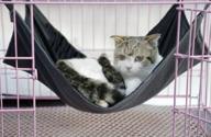 🐾 2 sides cat kitty hammock hanging bed: waterproof fleece swing play mat for small animals logo