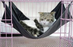 img 3 attached to 🐾 2 Sides Cat Kitty Hammock Hanging Bed: Waterproof Fleece Swing Play Mat for Small Animals