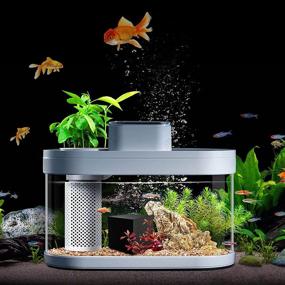 img 3 attached to Water Purifier Cube: Eco-Aquarium Filter for Clean & Clear Water - Ideal for Fish Tanks, Aquariums, Ponds, and Water Purification