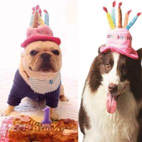 img 1 attached to 🐶 Cute Adorable Dog Cat Birthday Cake Hat: Party Cap with 5 Color Candles Design - Pink, One Size Fits Most