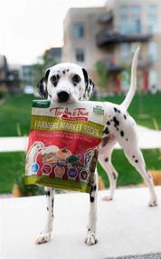 img 1 attached to 🐶 Tender & True Pet Nutrition Farmers Market Recipe Freeze Dry Raw Dog Food: The Perfect Choice for Happy and Healthy Dogs