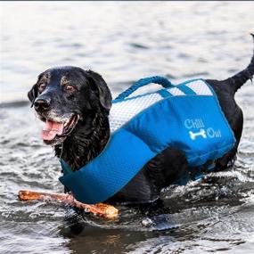 img 1 attached to Chill Life Jacket Paws Medium