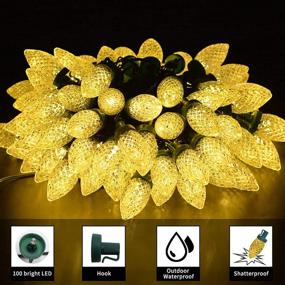 img 1 attached to Commercial Grade 100 LED C9 Christmas Lights: Warm White Strand for Garden, Yard, and Christmas Décor