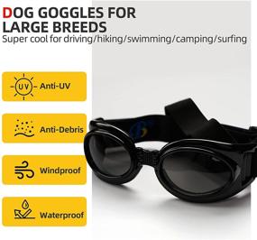 img 3 attached to 🐶 Ultimate UV Protection: Dog Goggles with Adjustable Straps, Windproof & Foldable Pet Sunglasses for Eye Safety