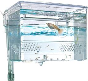 img 3 attached to 🐠 Fluval Multi-Chamber Holding and Breeding Box: Medium - Optimal Solution for Fish Care and Breeding