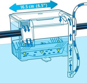 img 2 attached to 🐠 Fluval Multi-Chamber Holding and Breeding Box: Medium - Optimal Solution for Fish Care and Breeding